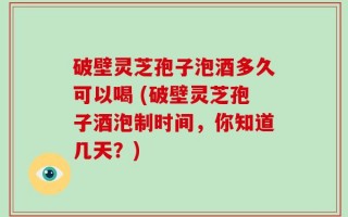破壁灵芝孢子泡酒多久可以喝 (破壁灵芝孢子酒泡制时间，你知道几天？)