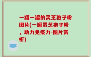 一罐一罐的灵芝孢子粉图片(一罐灵芝孢子粉，助力免疫力-图片赏析)