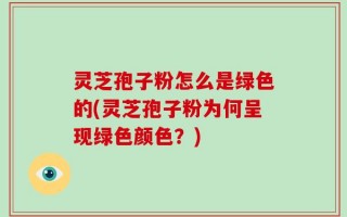 灵芝孢子粉怎么是绿色的(灵芝孢子粉为何呈现绿色颜色？)