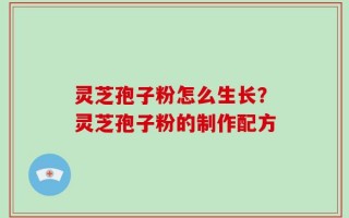 灵芝孢子粉怎么生长？灵芝孢子粉的制作配方