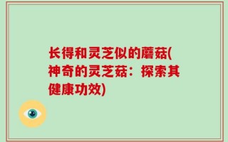 长得和灵芝似的蘑菇(神奇的灵芝菇：探索其健康功效)