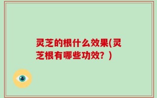 灵芝的根什么效果(灵芝根有哪些功效？)