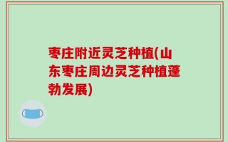 枣庄附近灵芝种植(山东枣庄周边灵芝种植蓬勃发展)
