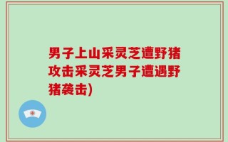 男子上山采灵芝遭野猪攻击采灵芝男子遭遇野猪袭击)