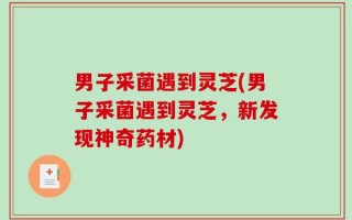 男子采菌遇到灵芝(男子采菌遇到灵芝，新发现神奇药材)