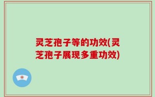 灵芝孢子等的功效(灵芝孢子展现多重功效)