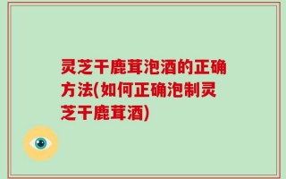灵芝干鹿茸泡酒的正确方法(如何正确泡制灵芝干鹿茸酒)
