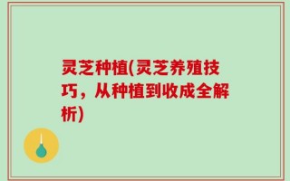 灵芝种植(灵芝养殖技巧，从种植到收成全解析)