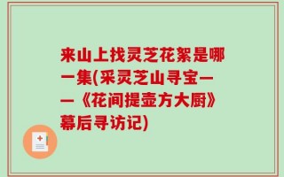 来山上找灵芝花絮是哪一集(采灵芝山寻宝——《花间提壶方大厨》幕后寻访记)