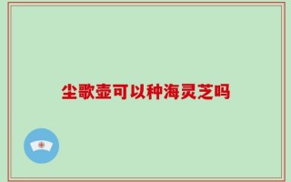 尘歌壶可以种海灵芝吗