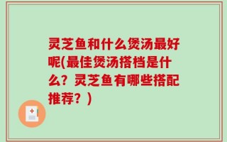 灵芝鱼和什么煲汤最好呢(最佳煲汤搭档是什么？灵芝鱼有哪些搭配推荐？)