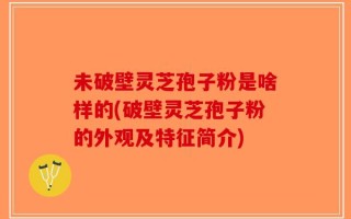 未破壁灵芝孢子粉是啥样的(破壁灵芝孢子粉的外观及特征简介)