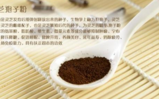 大便干燥吃什么能有效改善？
