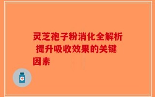 灵芝孢子粉消化全解析 提升吸收效果的关键因素