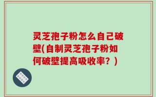 灵芝孢子粉怎么自己破壁(自制灵芝孢子粉如何破壁提高吸收率？)