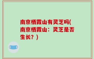南京栖霞山有灵芝吗(南京栖霞山：灵芝是否生长？)