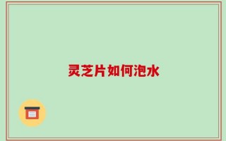 灵芝片如何泡水