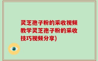 灵芝孢子粉的采收视频教学灵芝孢子粉的采收技巧视频分享)