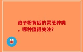 孢子粉背后的灵芝种类，哪种值得关注？