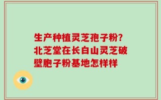 生产种植灵芝孢子粉？北芝堂在长白山灵芝破壁胞子粉基地怎样样