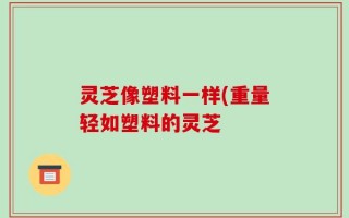 灵芝像塑料一样(重量轻如塑料的灵芝