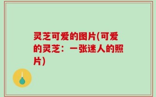 灵芝可爱的图片(可爱的灵芝：一张迷人的照片)