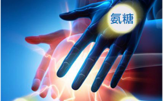 氨糖软骨素钙片哪个好呢？