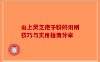 山上灵芝孢子粉的识别技巧与实用指南分享