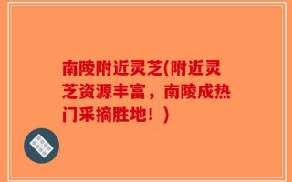南陵附近灵芝(附近灵芝资源丰富，南陵成热门采摘胜地！)
