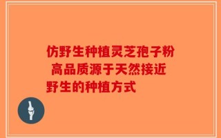 仿野生种植灵芝孢子粉 高品质源于天然接近野生的种植方式