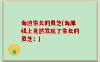 海边生长的灵芝(海岸线上竟然发现了生长的灵芝！)