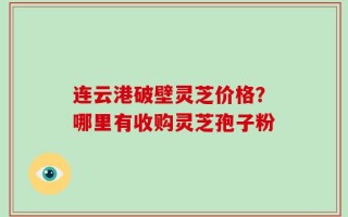 连云港破壁灵芝价格？哪里有收购灵芝孢子粉
