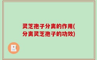 灵芝孢子分离的作用(分离灵芝孢子的功效)
