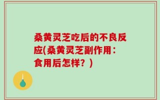 桑黄灵芝吃后的不良反应(桑黄灵芝副作用：食用后怎样？)