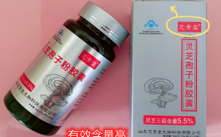 养生滋补品必选灵芝孢子粉