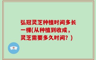 弘冠灵芝种植时间多长一棵(从种植到收成，灵芝需要多久时间？)