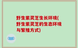 野生紫灵芝生长环境(野生紫灵芝的生态环境与繁殖方式)