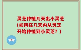 灵芝种植几天出小灵芝(如何在几天内从灵芝开始种植到小灵芝？)