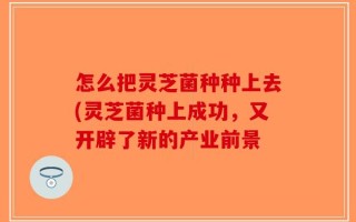 怎么把灵芝菌种种上去(灵芝菌种上成功，又开辟了新的产业前景