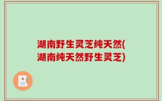 湖南野生灵芝纯天然(湖南纯天然野生灵芝)
