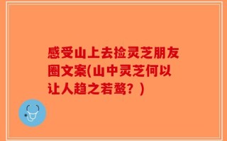 感受山上去捡灵芝朋友圈文案(山中灵芝何以让人趋之若鹜？)
