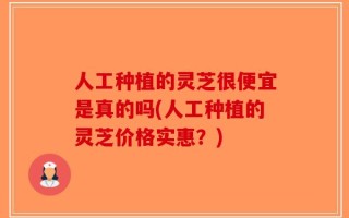 人工种植的灵芝很便宜是真的吗(人工种植的灵芝价格实惠？)