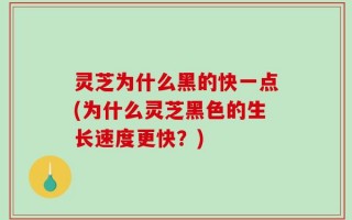 灵芝为什么黑的快一点(为什么灵芝黑色的生长速度更快？)