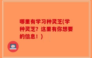 哪里有学习种灵芝(学种灵芝？这里有你想要的信息！)
