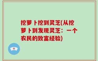挖萝卜挖到灵芝(从挖萝卜到发现灵芝：一个农民的致富经验)