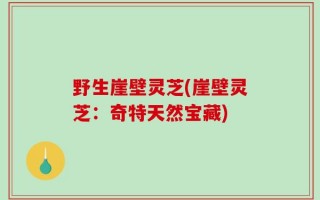 野生崖壁灵芝(崖壁灵芝：奇特天然宝藏)