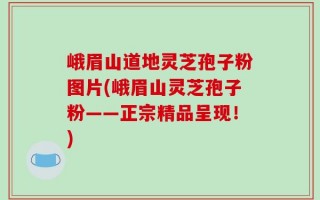 峨眉山道地灵芝孢子粉图片(峨眉山灵芝孢子粉——正宗精品呈现！)