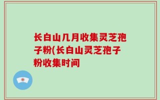 长白山几月收集灵芝孢子粉(长白山灵芝孢子粉收集时间