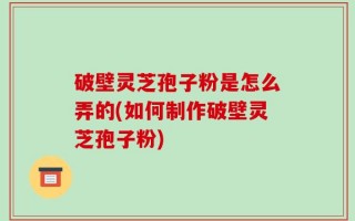 破壁灵芝孢子粉是怎么弄的(如何制作破壁灵芝孢子粉)