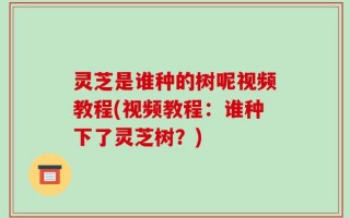 灵芝是谁种的树呢视频教程(视频教程：谁种下了灵芝树？)